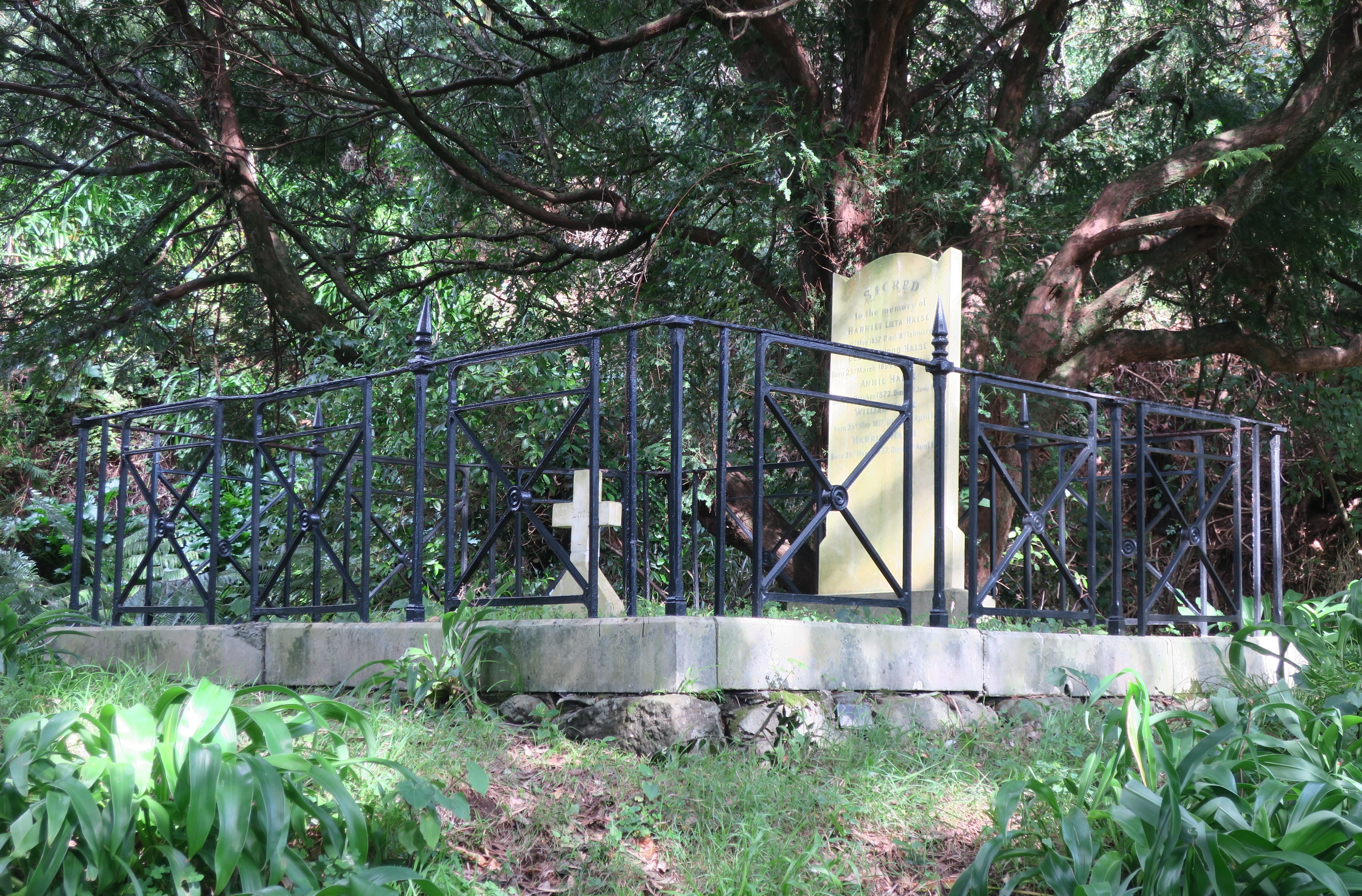 Halse family plot  in the churchyard of Taranaki Cathedral (2025). Rachel Sonius. Word on the Street image collection.