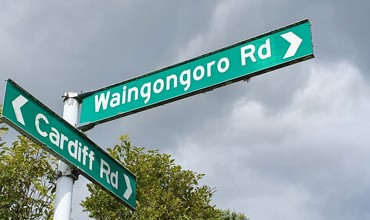 Waingongoro Road for web.jpg
