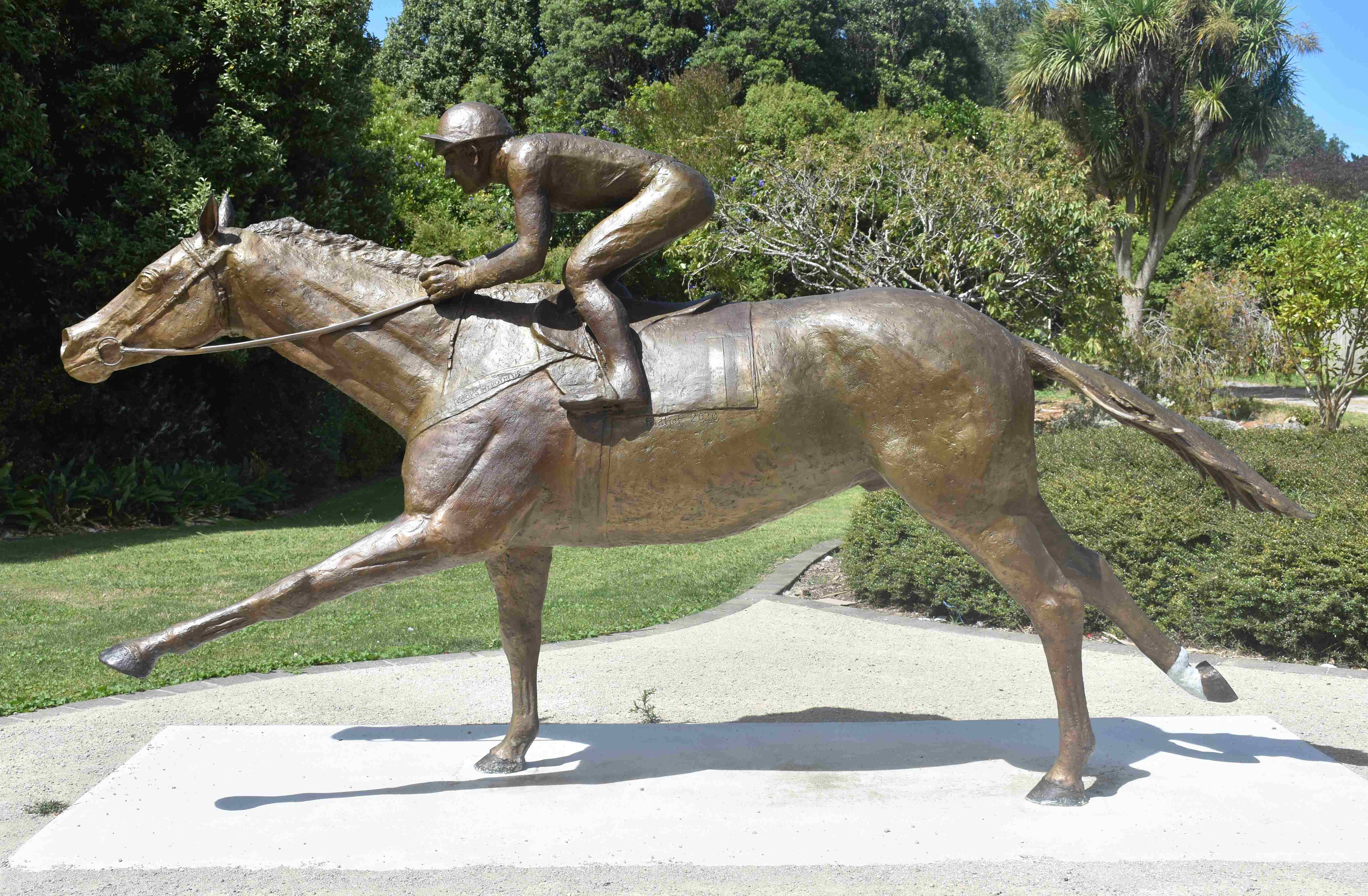 Kiwi And Jockey For Web