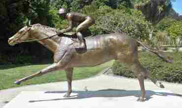 Kiwi And Jockey For Web