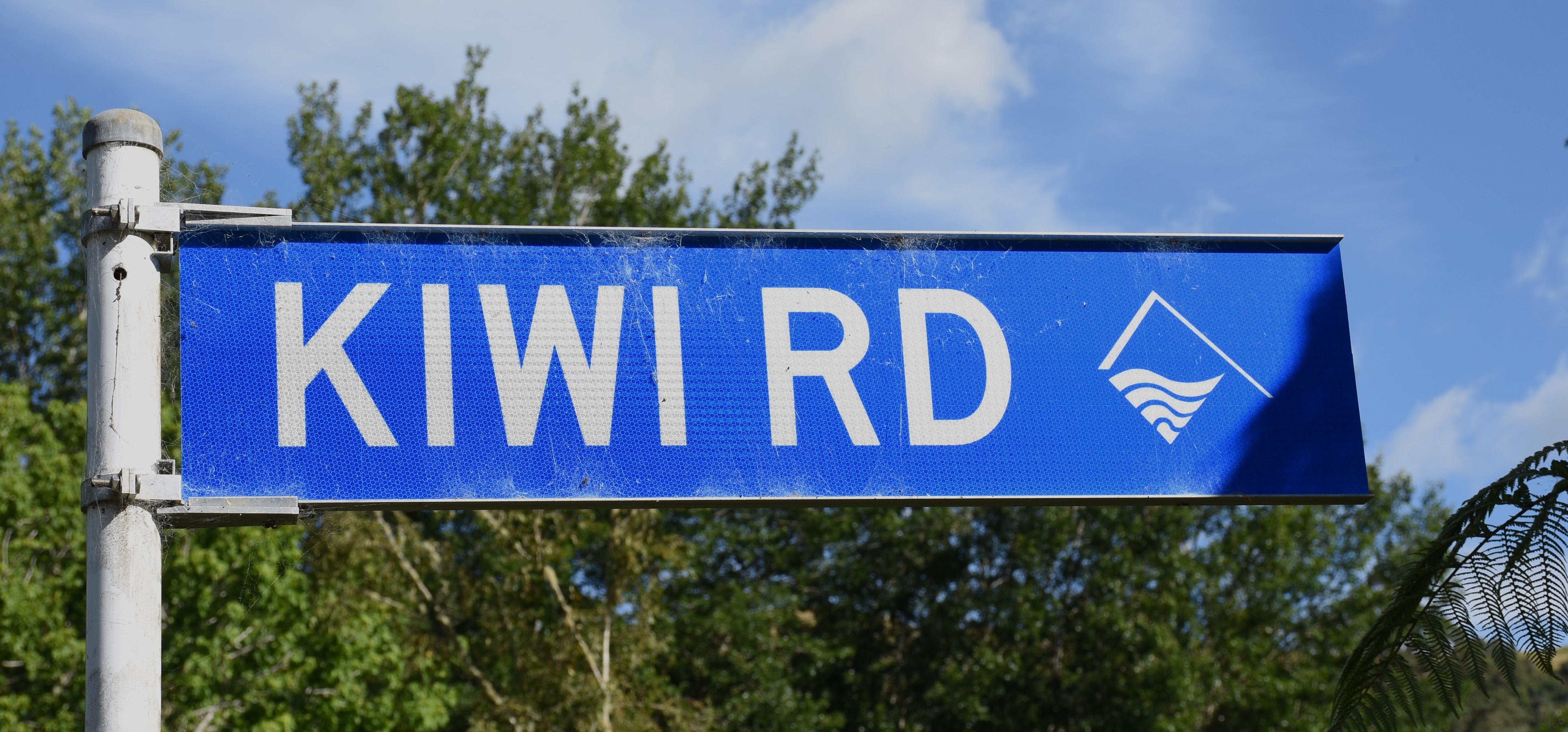 Kiwi Road copy for web.JPG