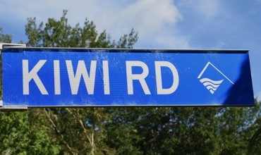 Kiwi Road copy for web.JPG