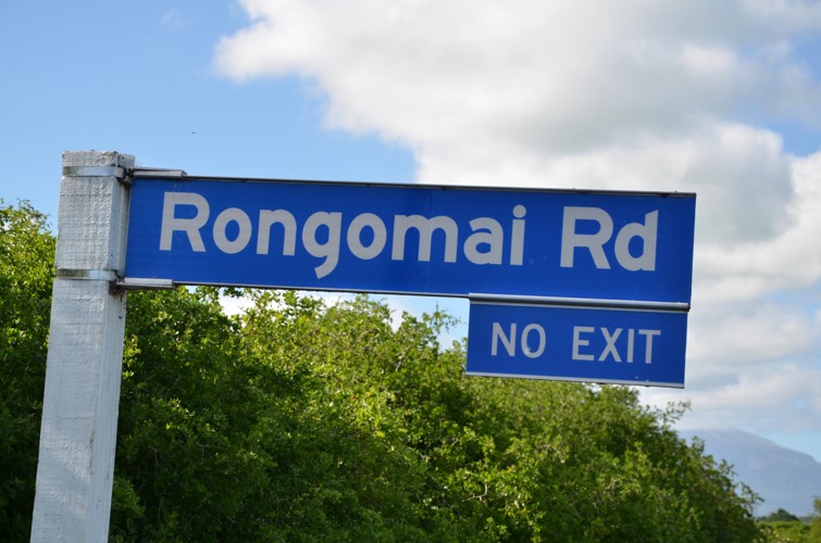 Rongomai_Road.jpg