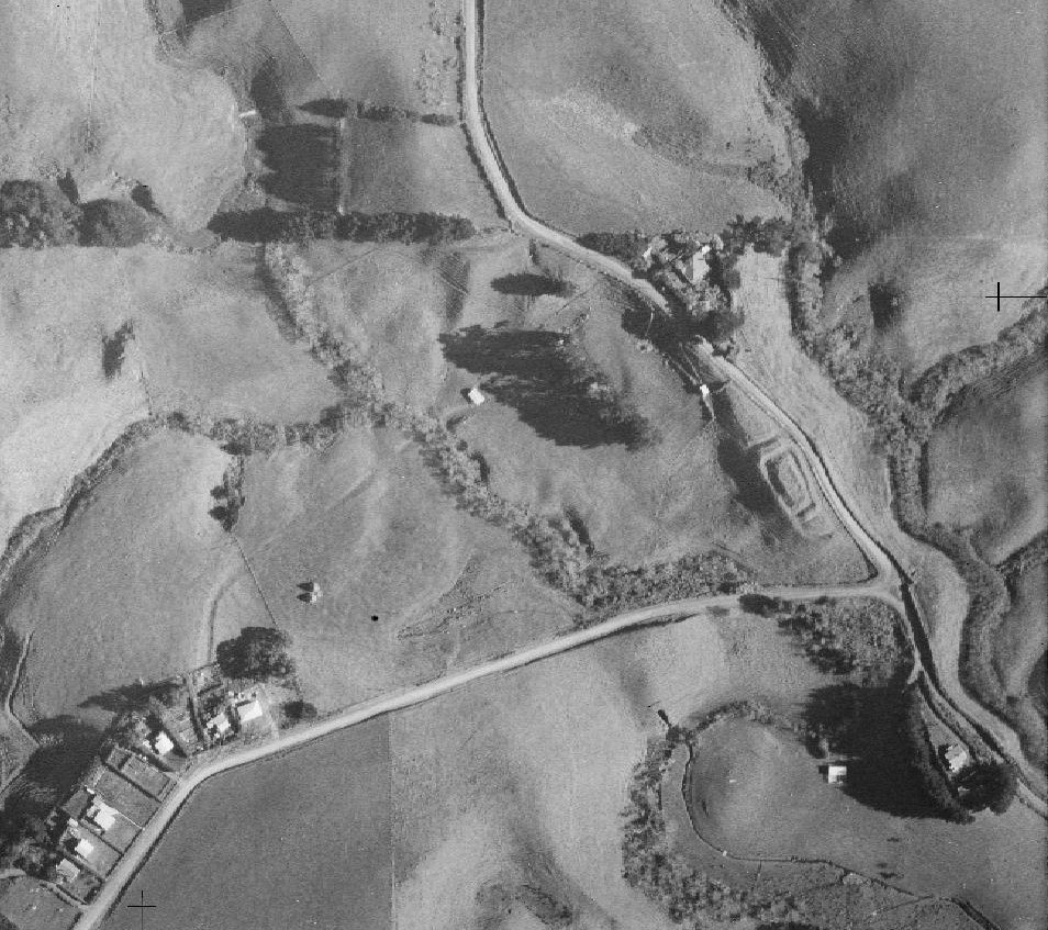 1950 Image Of Pukeori Pa LINZ Retrolens (1)