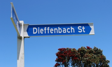 Dieffenbach Street.jpg