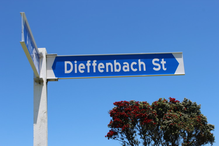 Dieffenbach Street.jpg