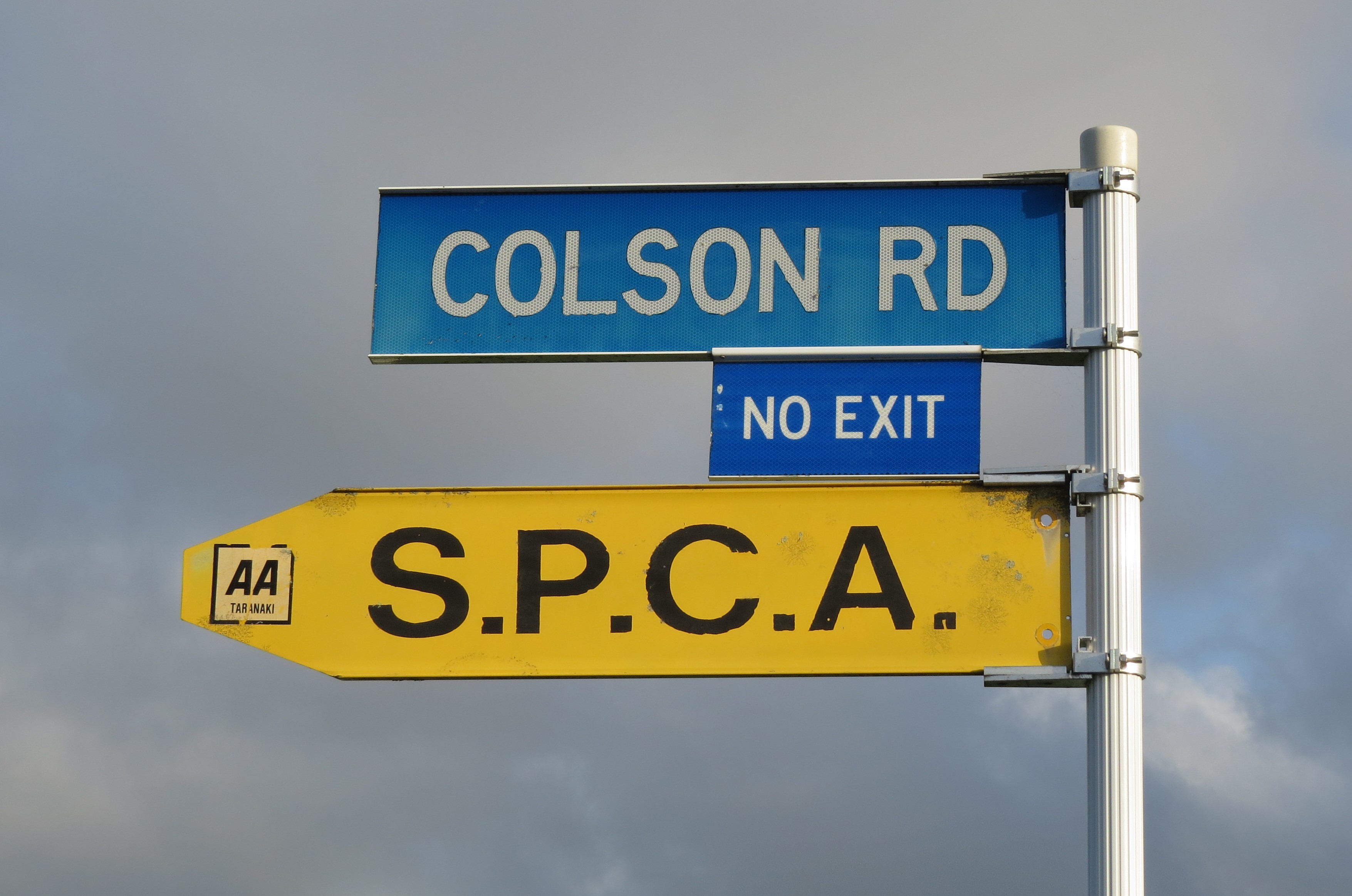 Colson Road street sign (2024). Rachel Sonius. Word on the Street image collection.