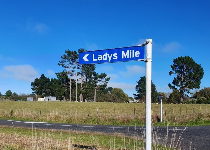Lady's Mile Sign 2026 For Web