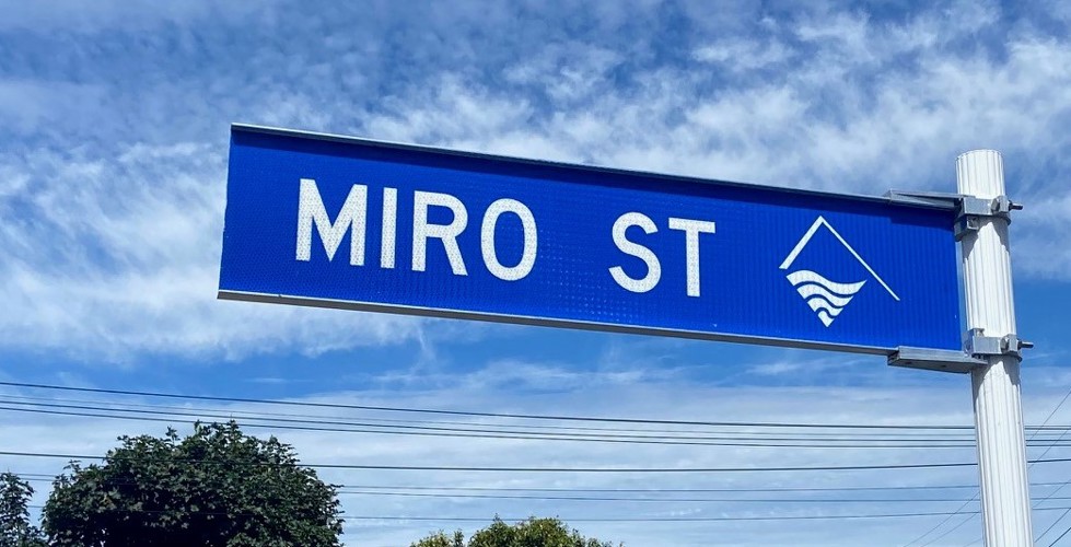 Miro Street1