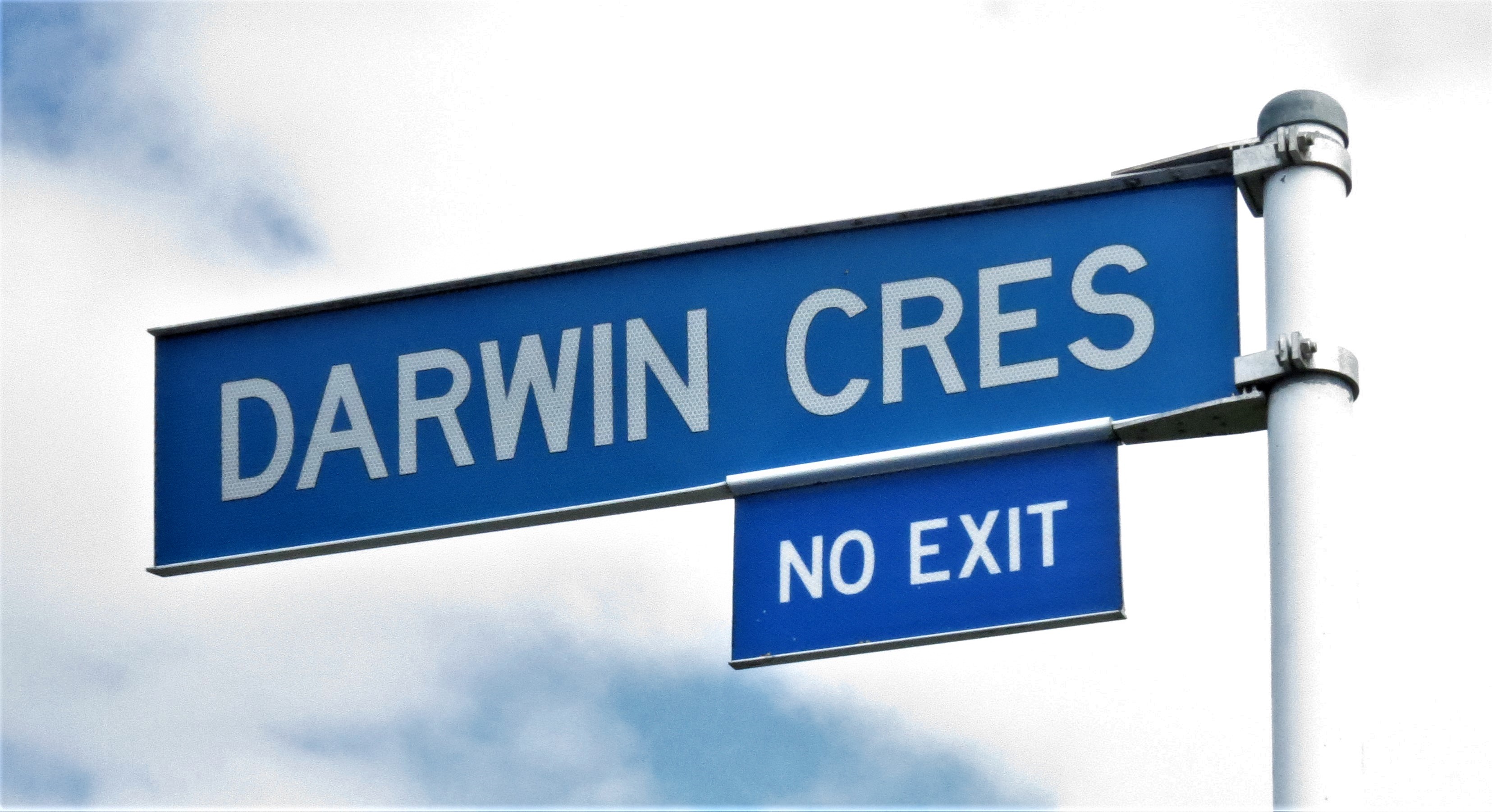 Darwin Crescent