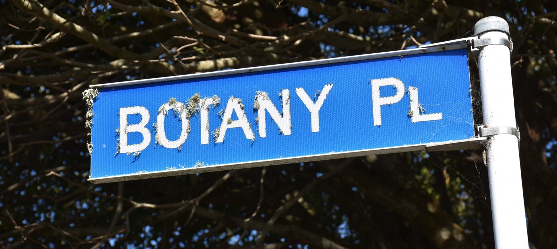 Botany_Place.jpg