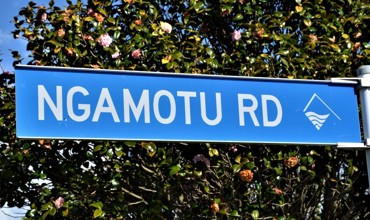 Ngamotu_Road_for_TNL.jpg