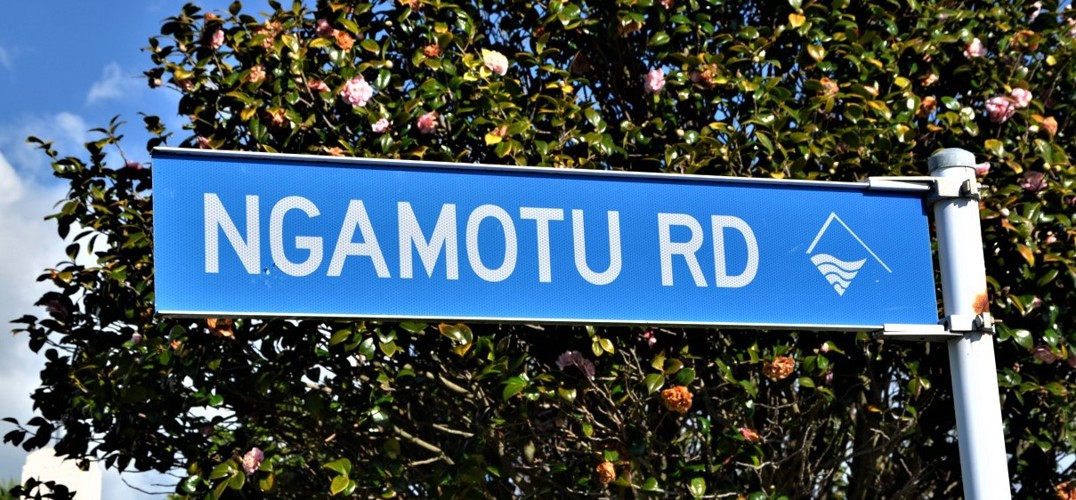 Ngamotu_Road_for_TNL.jpg