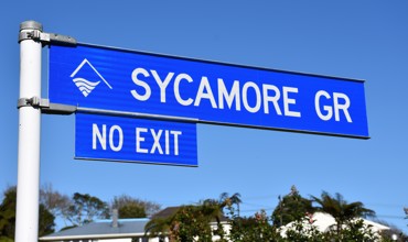 Sycamore_Grove_for_TNL.jpg