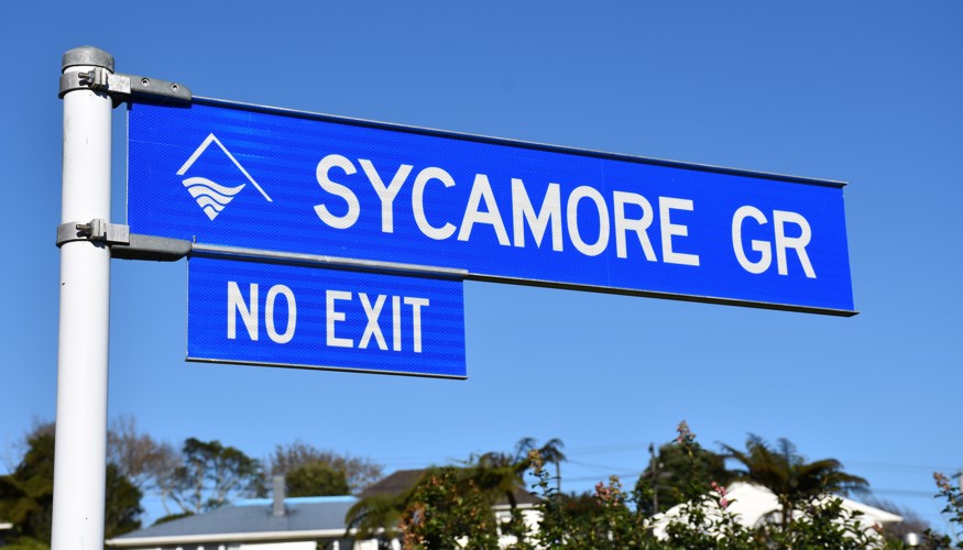 Sycamore_Grove_for_TNL.jpg