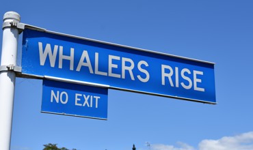 Whalers_Rise.jpg