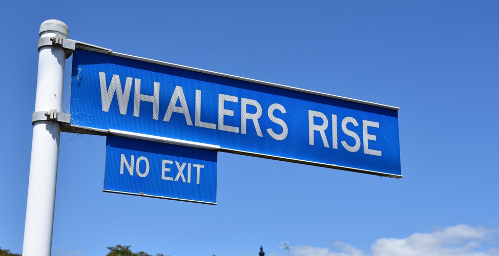 Whalers_Rise.jpg