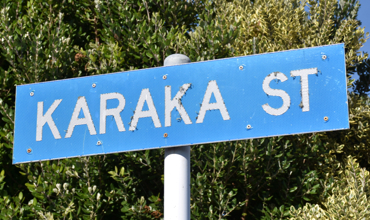 Karaka_Street.jpg