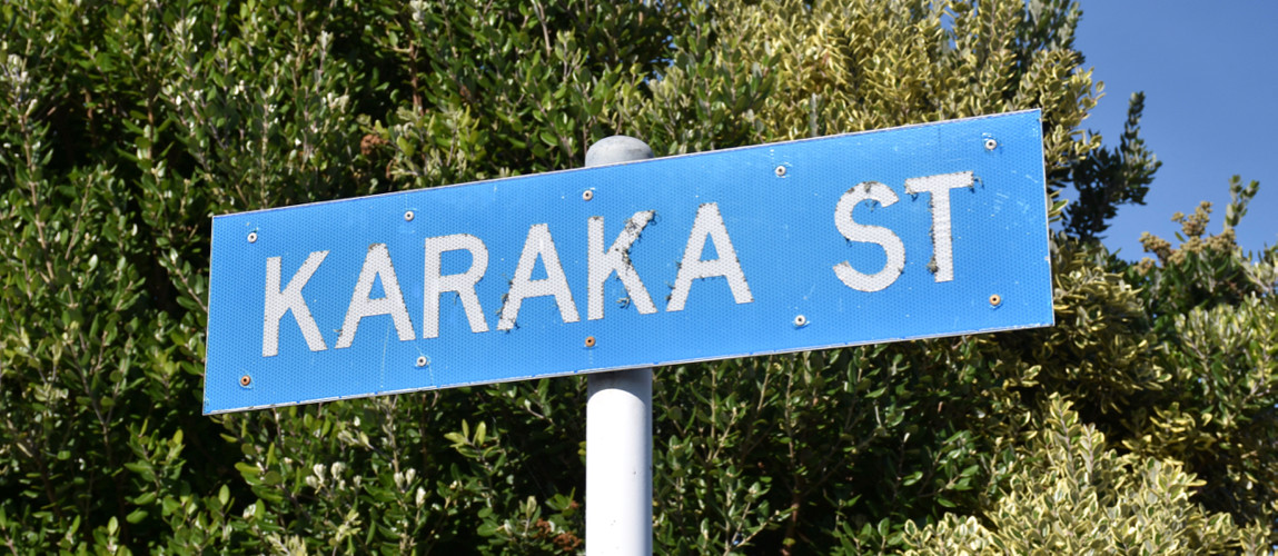 Karaka_Street.jpg