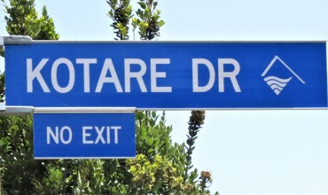 Kotare_Drive.jpg