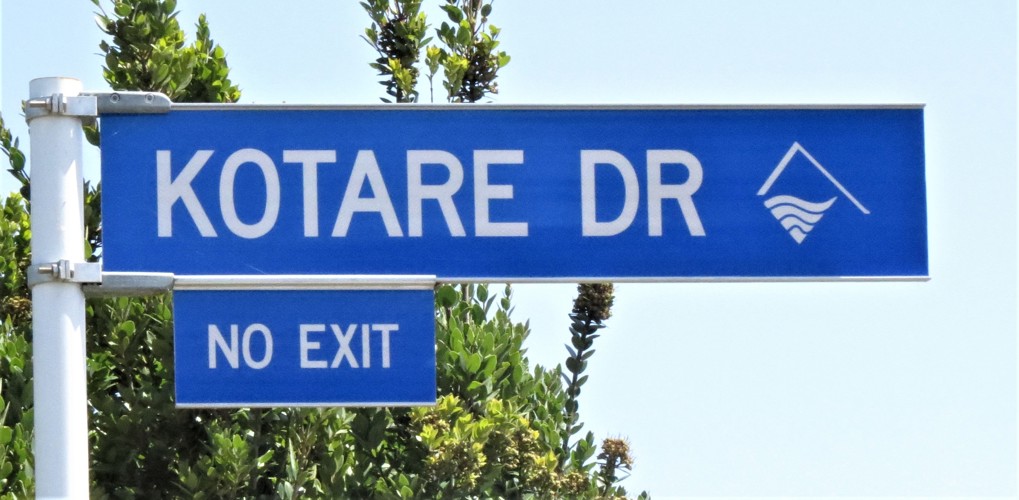 Kotare_Drive.jpg