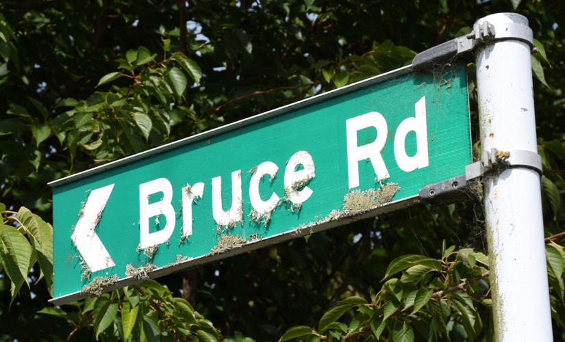 Bruce Road.jpg
