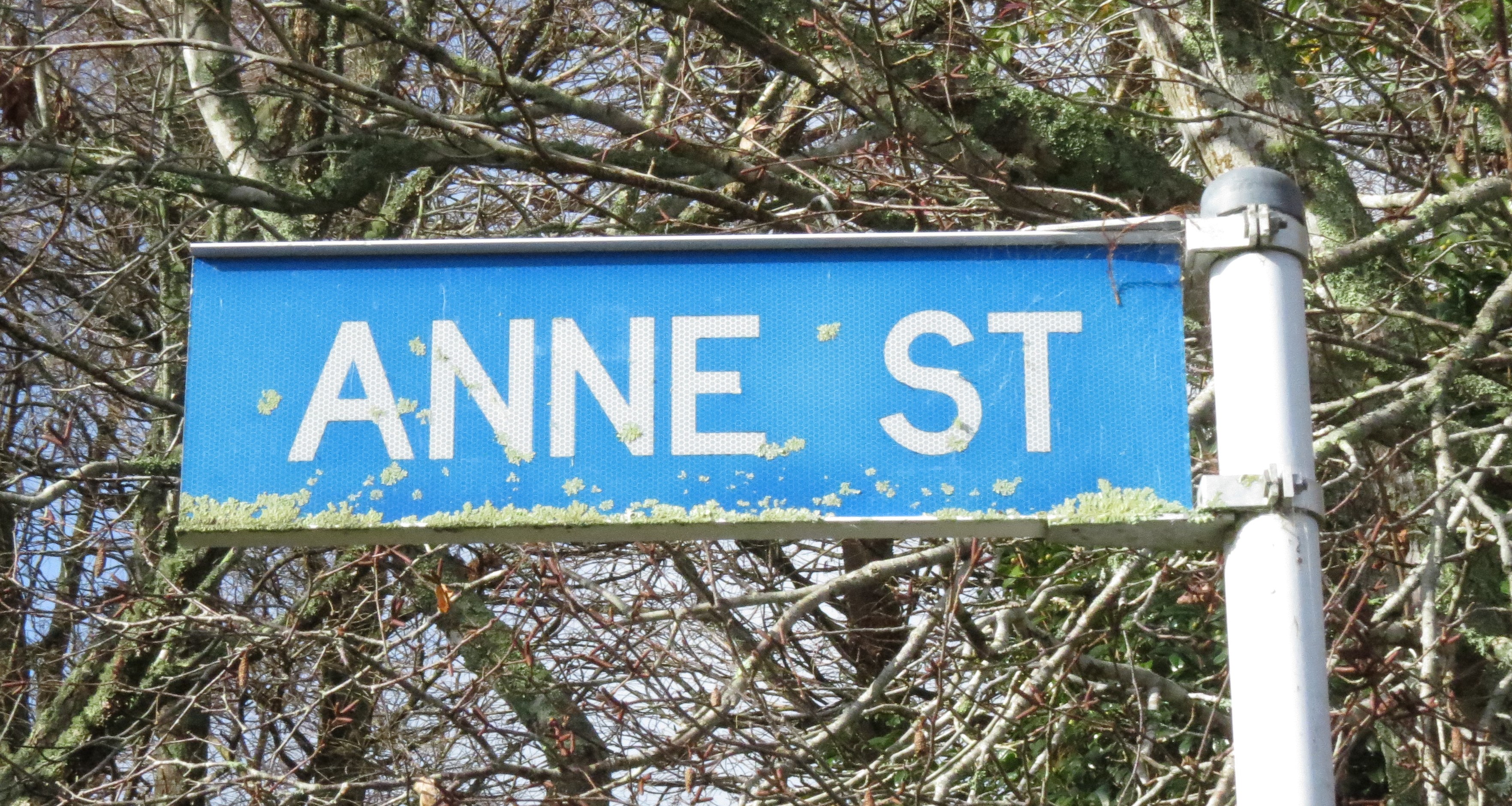 Anne Street.JPG