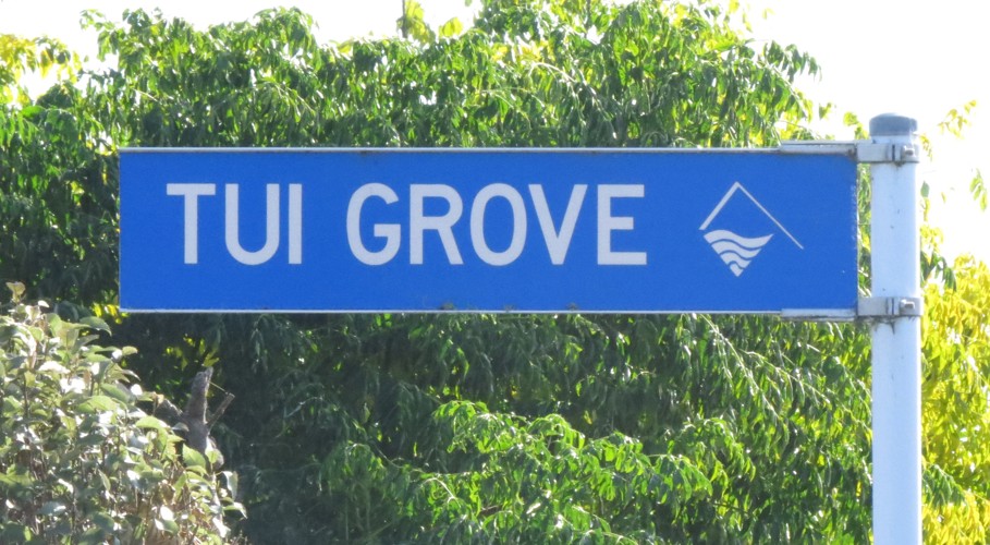 Tui Grove.JPG