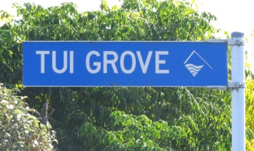 Tui Grove.JPG