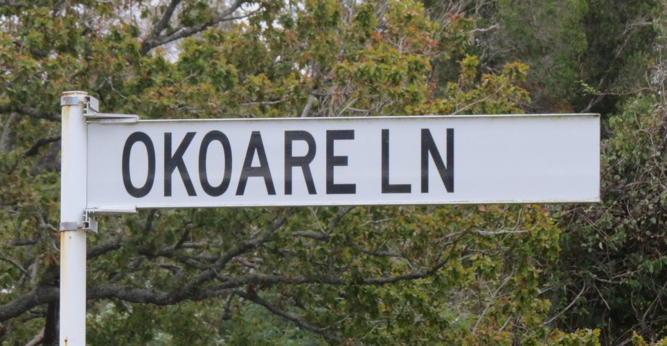 Okoare Lane.JPG