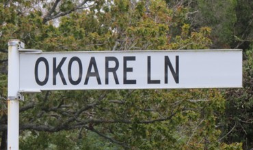 Okoare Lane.JPG