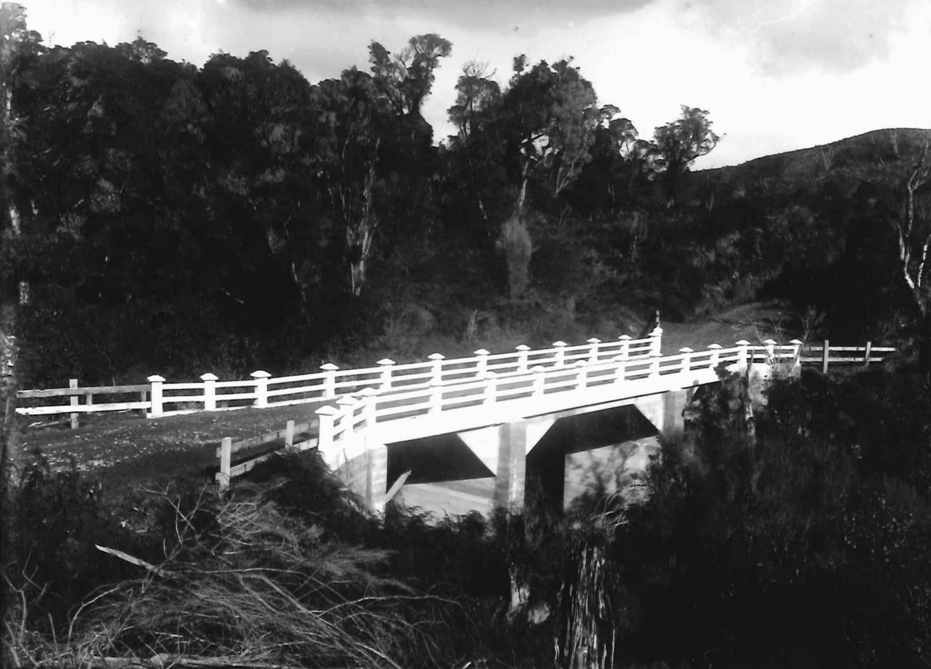 Ahuroa_Bridge_A_W_Reid.jpg