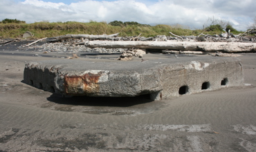 Waitara_1_004.jpg