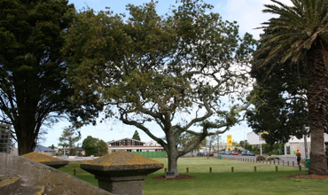 Hawera_Oaks_Laurent_010.jpg