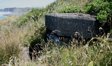 Kaupokonui_Pillbox_004.jpg