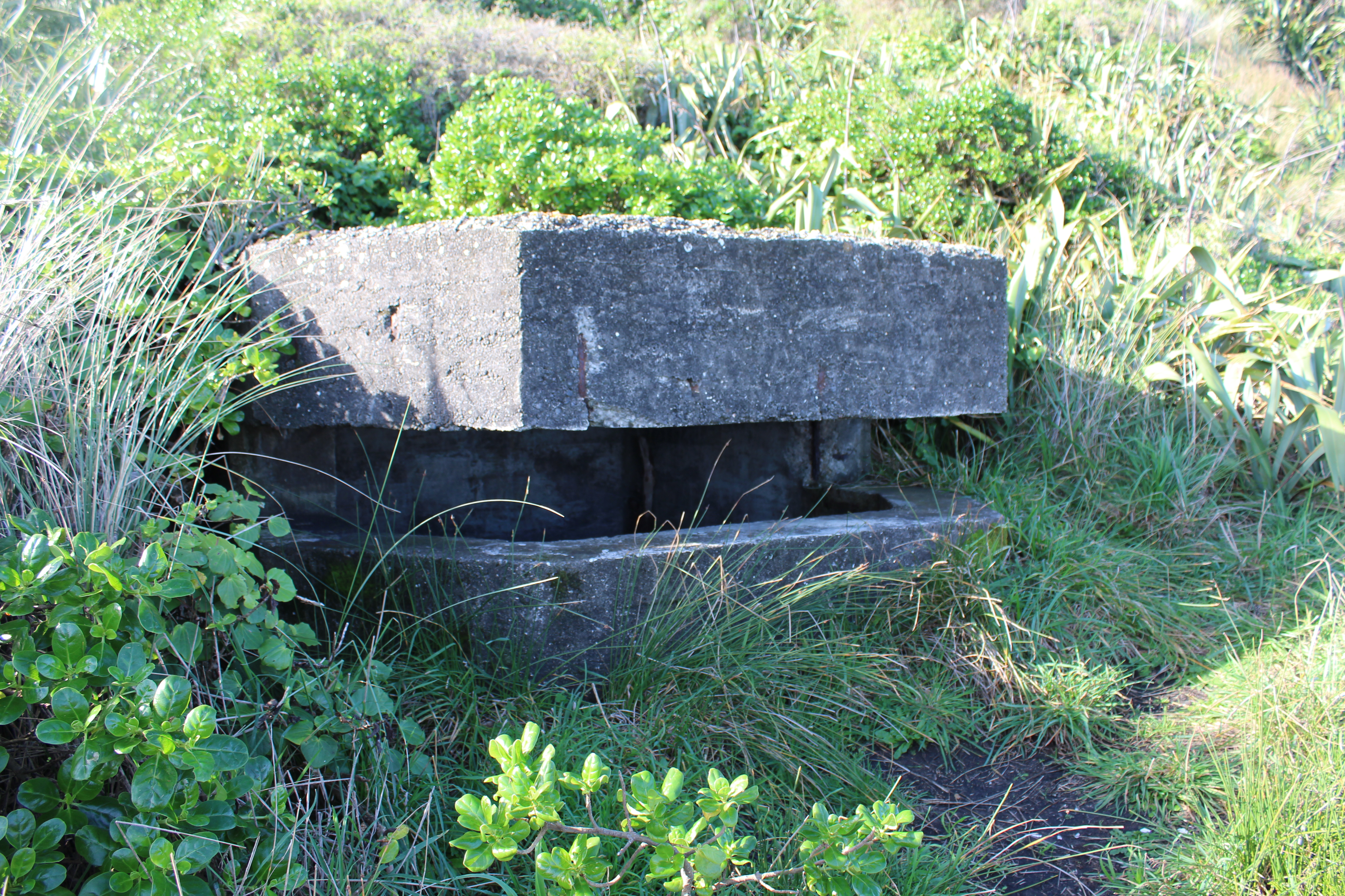 Kaupokonui Pillbox.JPG