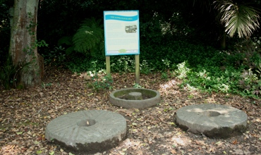 alpha_mill_002.jpg