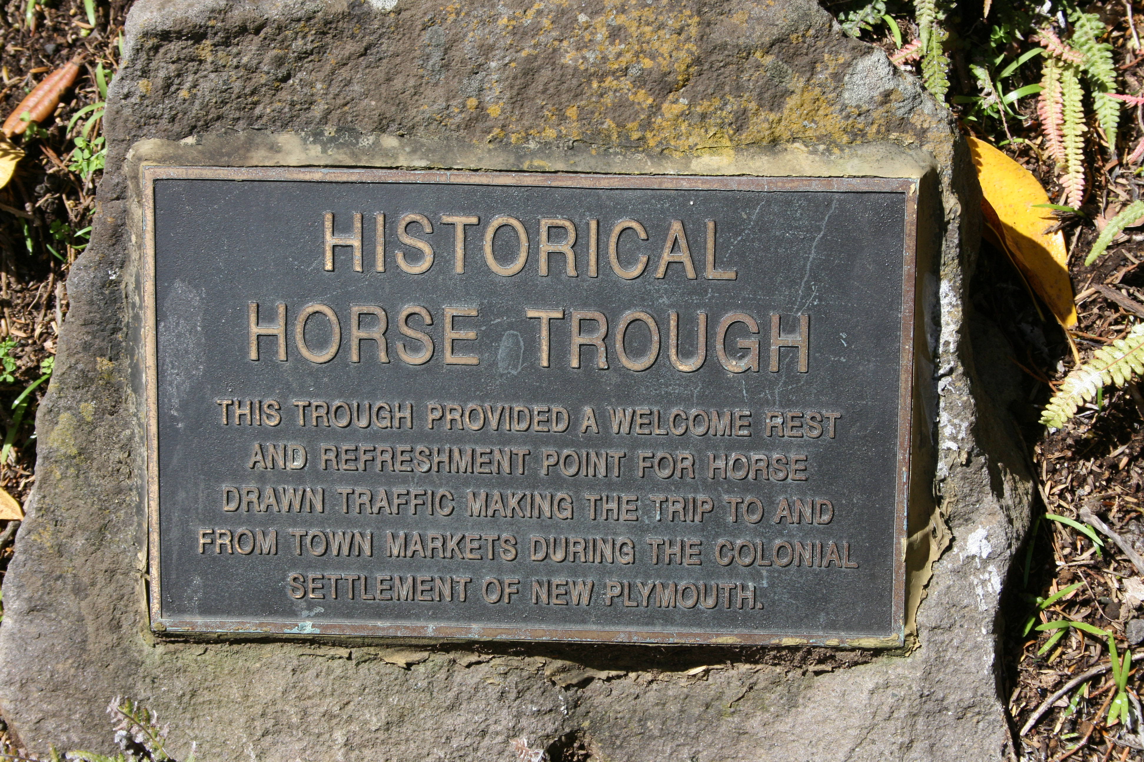 Horse_Trough_021.jpg