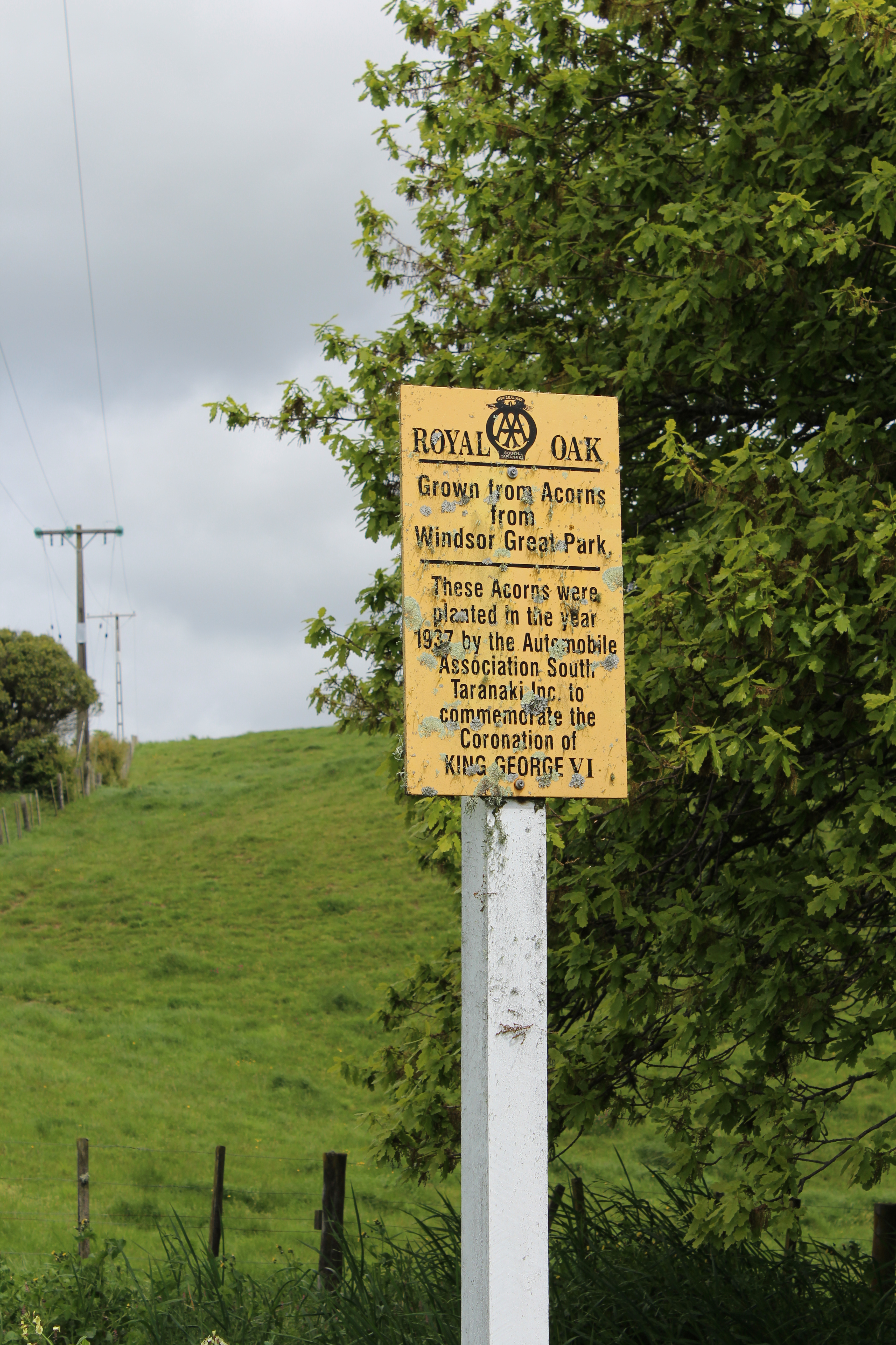 Hawera_034.JPG