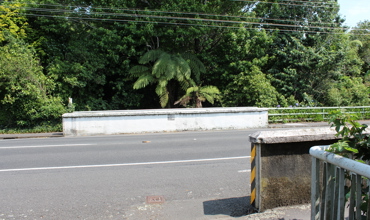 Waiongana_-iti_022.JPG