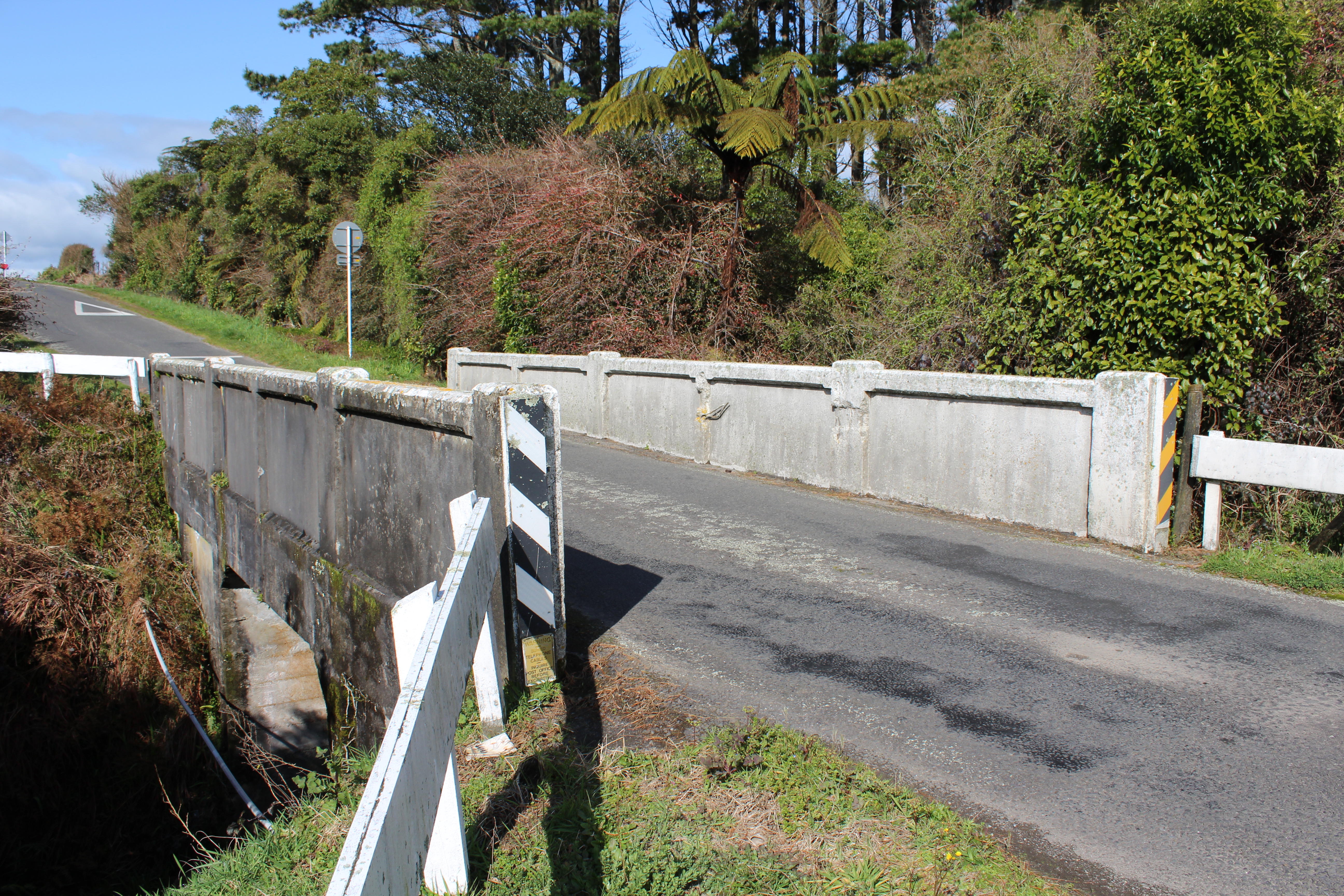 Waionganaiti_South_008.JPG