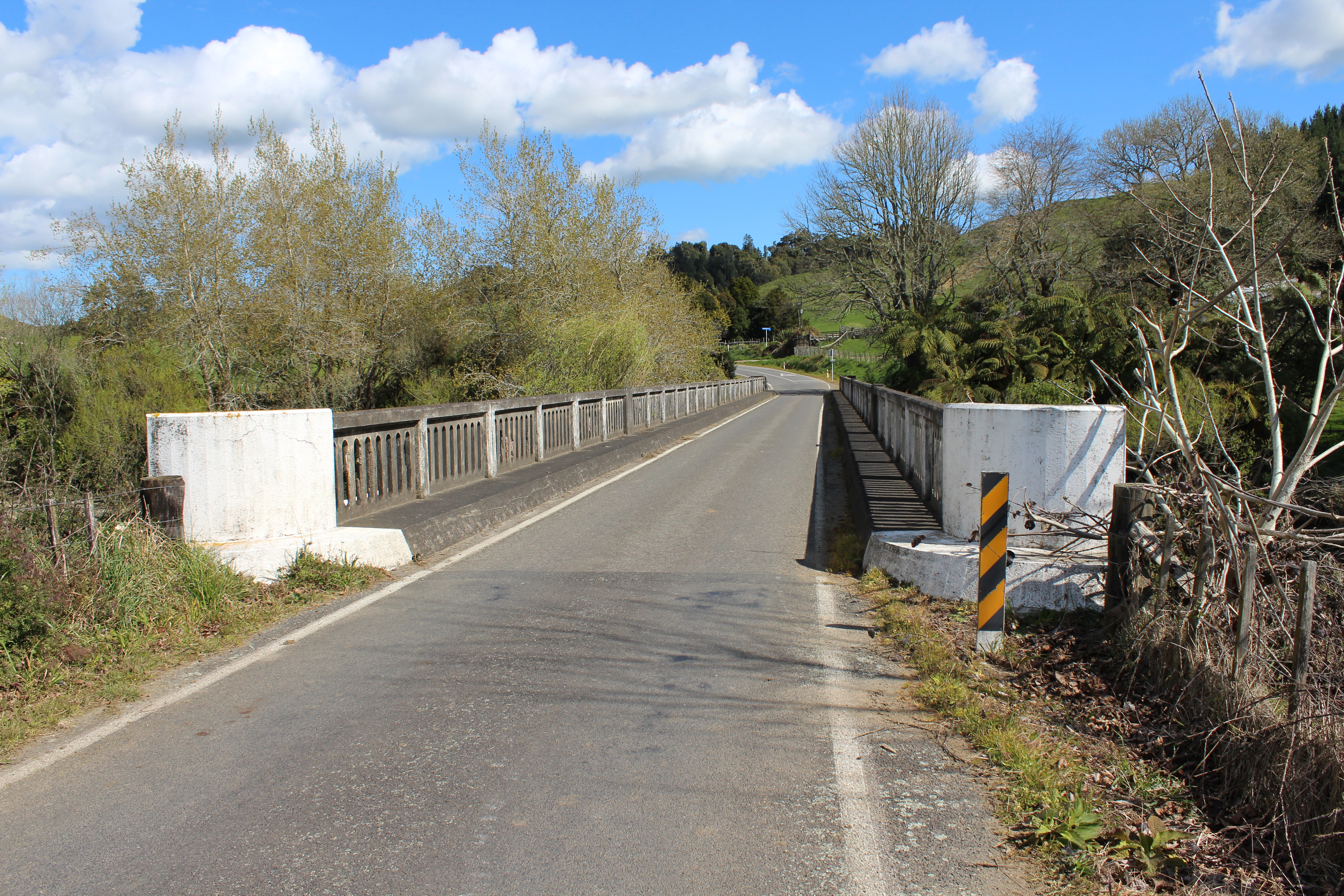 Waitara_Bridge_-_Tarata_008.JPG