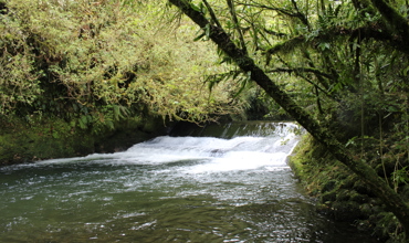 Cardiff_Walk_009.JPG