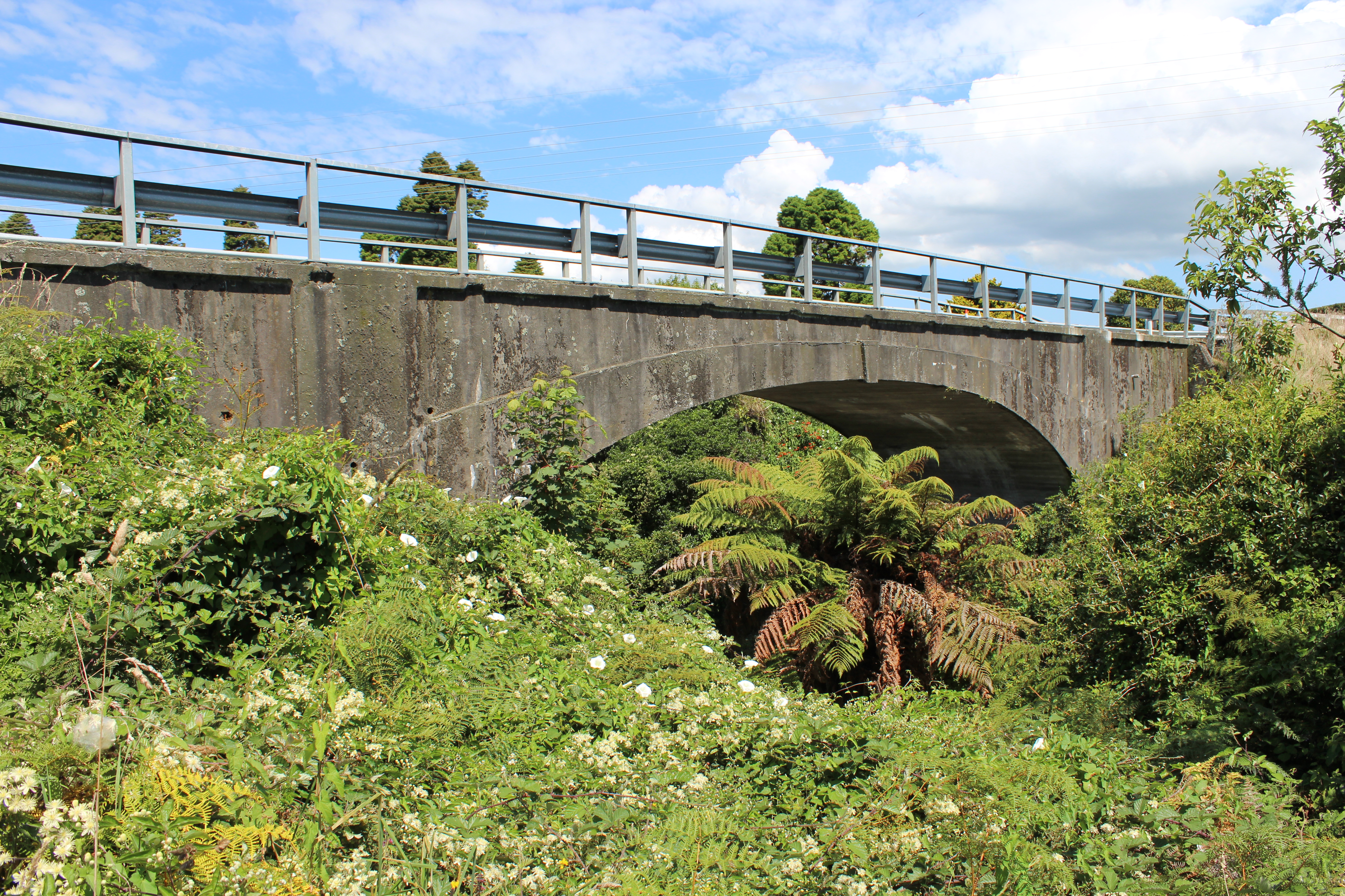 Kahouri_Bridge_006.JPG