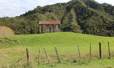 Patea_Dam_002.JPG