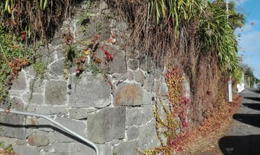 Retaining_Wall__17_Vivian_Street_2017.jpg