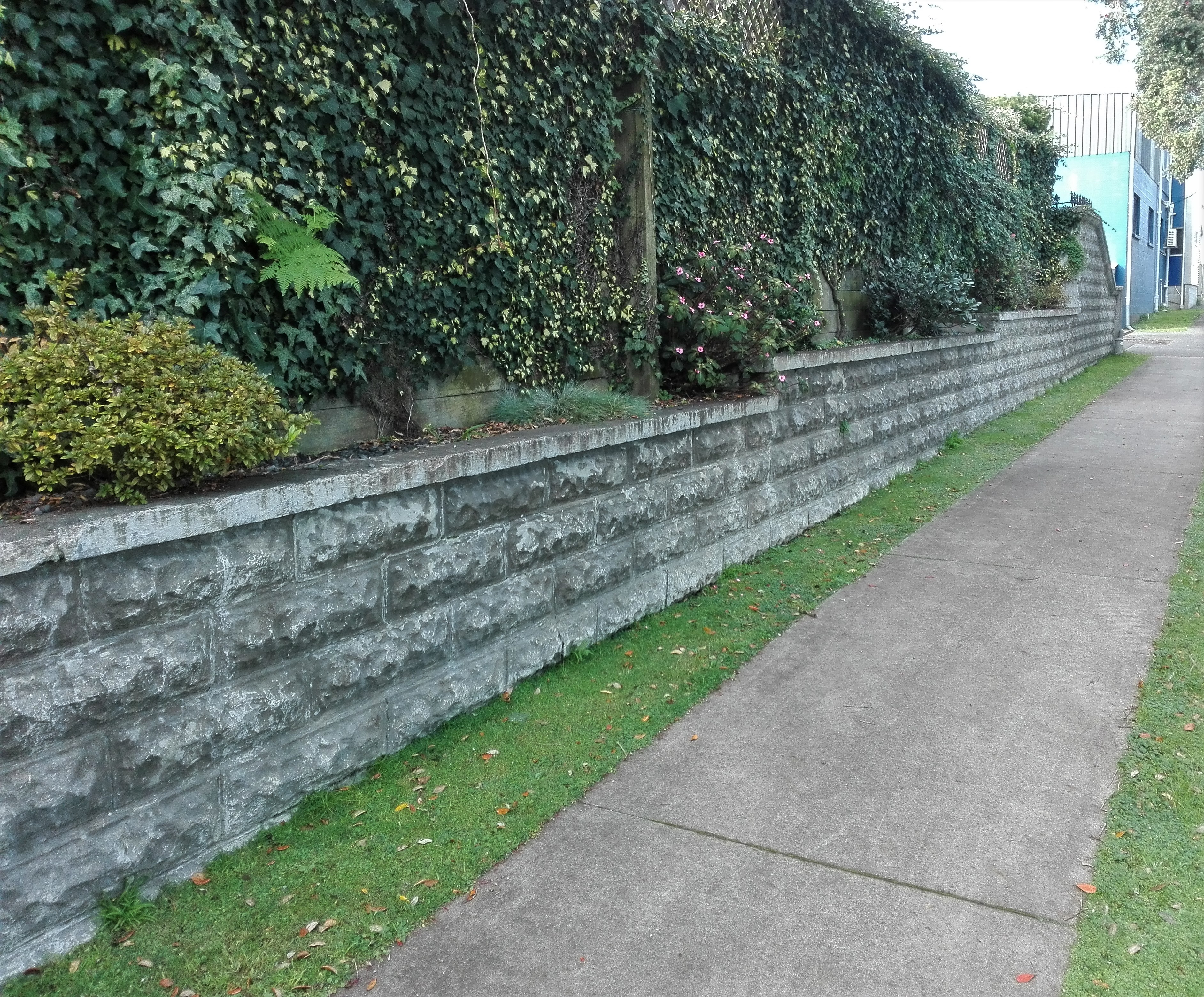 Retaining_Wall__15_Ronald_Street_2017__2_.jpg