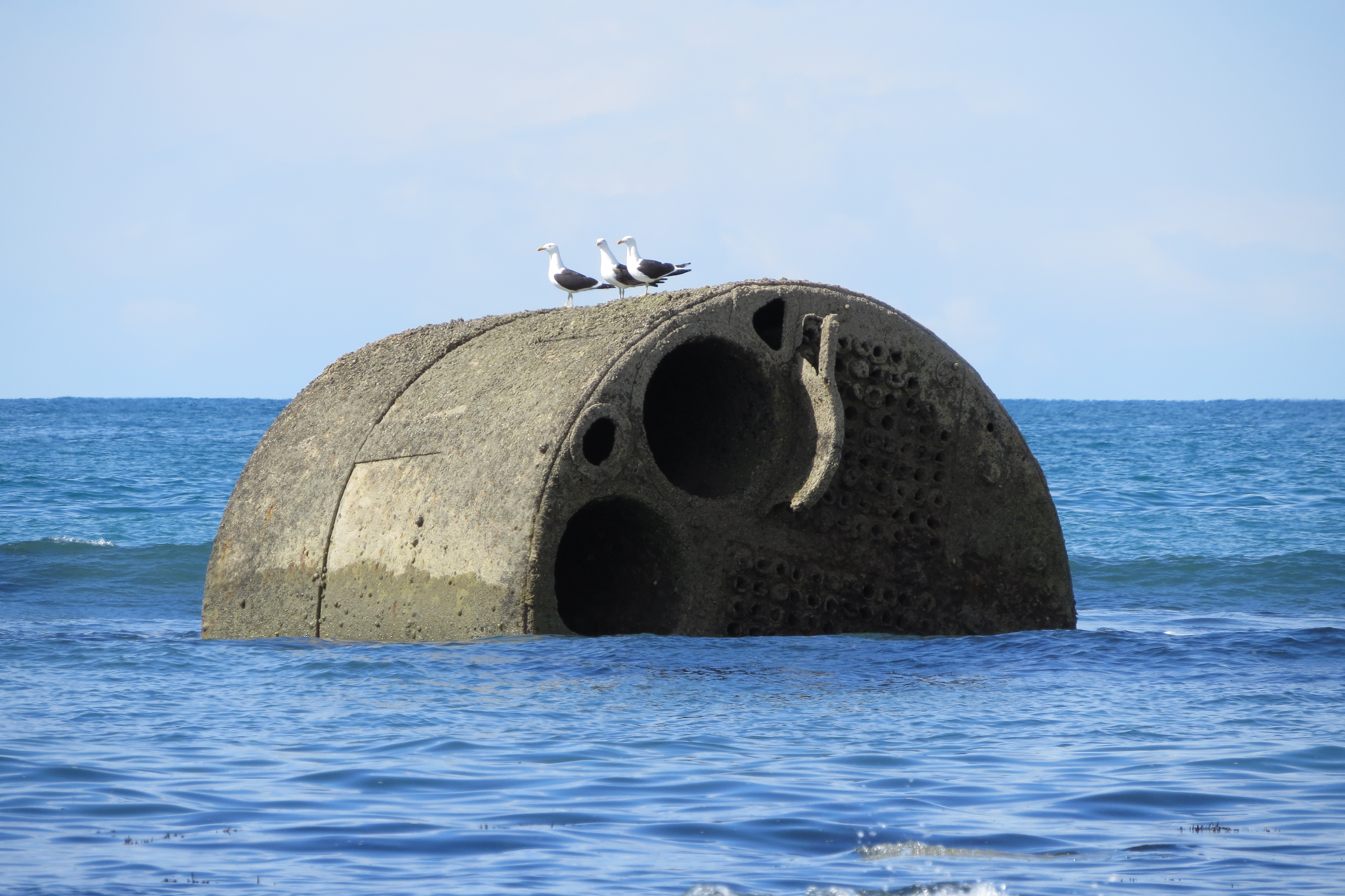 S.S_Wanaka_Boiler_close_up_2017.JPG