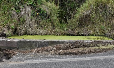 Horse_trough1.JPG