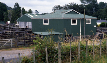 Inglewood_Saleyards_Feb_1992a.jpg